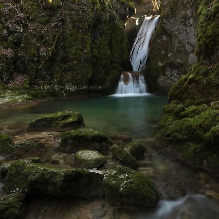 Апартаменти Les Jardins Du Golf Climatise La Chevillotte Екстер'єр фото